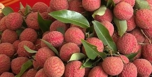 tranh kich ban duoc mua mat gia nhieu sieu thi ho tro dau ra cho vai thieu