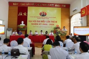 the che hoa duong loi chu truong cua dang ve hoi nhap quoc te