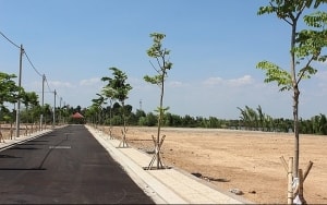 scic sap ban dau gia 45 trieu co phan tai nhiet dien hai phong