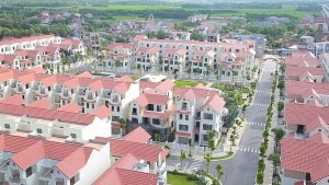 tin tuc dau tu du an ngay 1162020