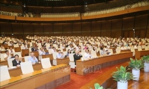 sang nay 116 quoc hoi tiep tuc tien hanh cong tac nhan su