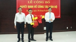 bo nhiem nhan su moi tai quang tri tuyen quang tp hcm