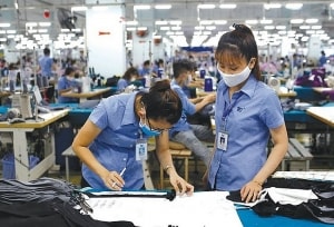 viet nam xuat sieu 4 ty usd sau 6 thang nam 2020