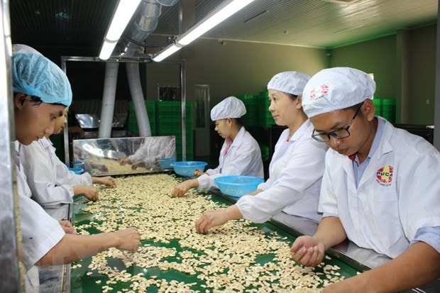 Tan dung co hoi tu EVFTA: Chu dong tao giay thong hanh hinh anh 1