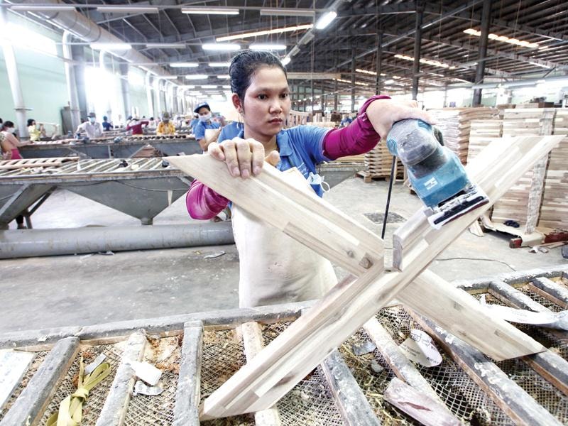 Gỗ Trường Thành mong “sạch” để đổi vận