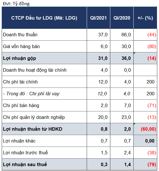 LDG Group báo lãi 308 triệu đồng trong quý I - Ảnh 1.