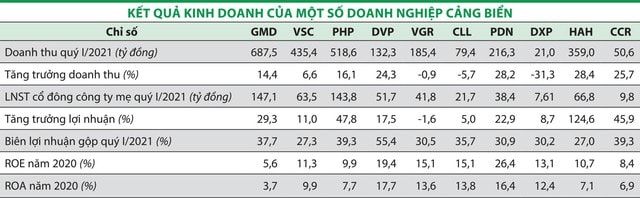 Cổ phiếu cảng biển hấp dẫn nhưng phân hóa ảnh 1