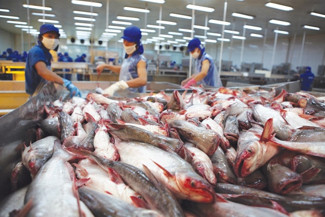 Thủy sản Hùng Vương sắp qua những ngày gian khó?