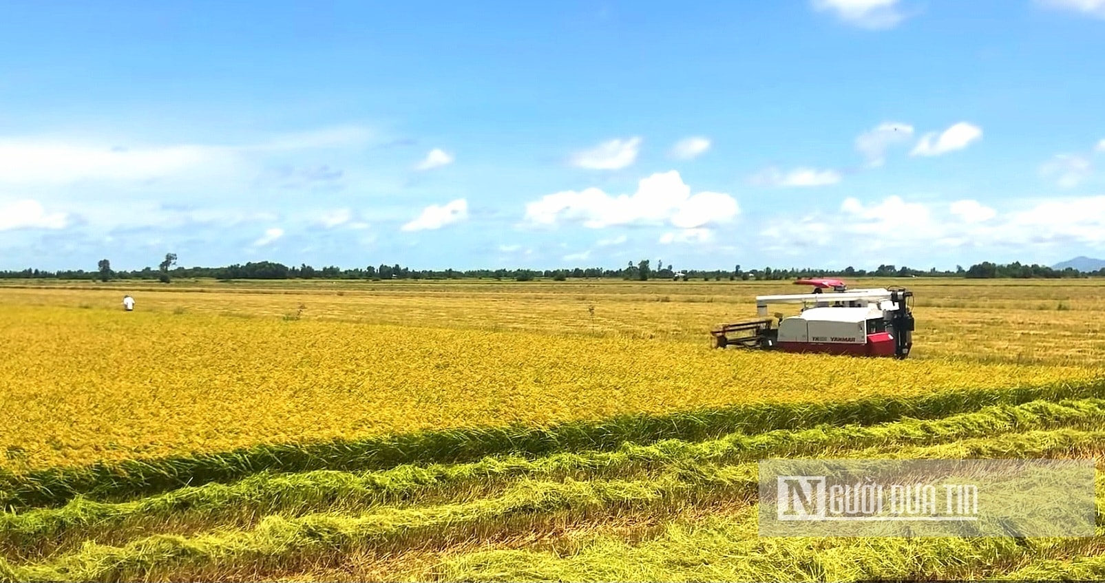 Kinh tế vĩ mô - Kiên Giang: GRDP 6 tháng đầu năm đạt trên 35.872 tỷ đồng (Hình 3).