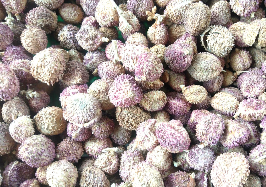 qua nhan sa