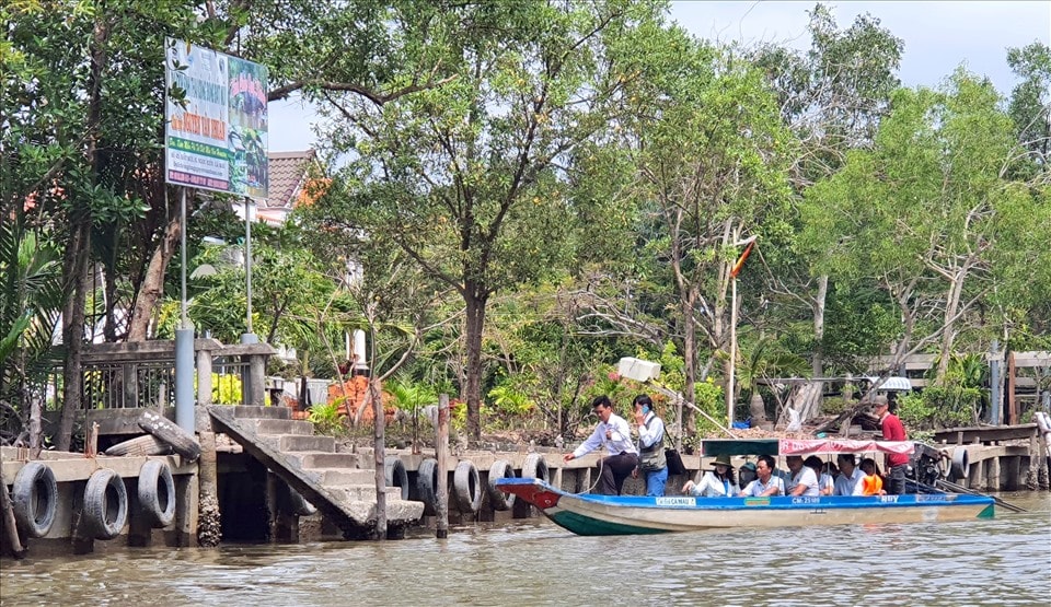 cuộc sống ở mũi Cà Mau