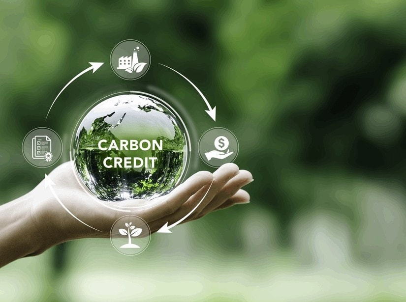 carbon-credit-589920250503104323.jpg