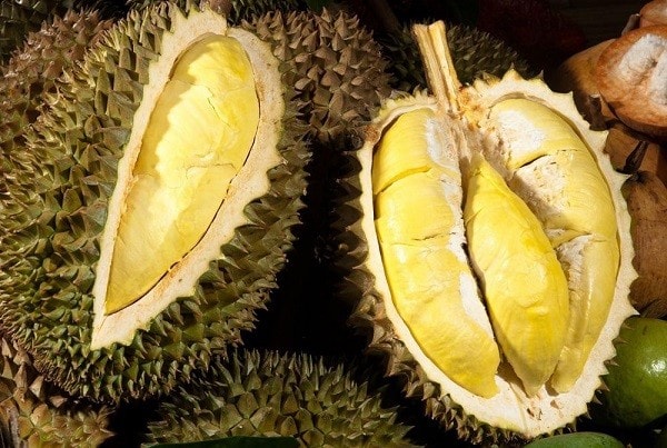 sau rieng