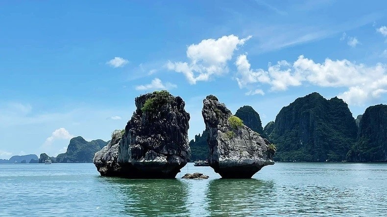 honn trong mai