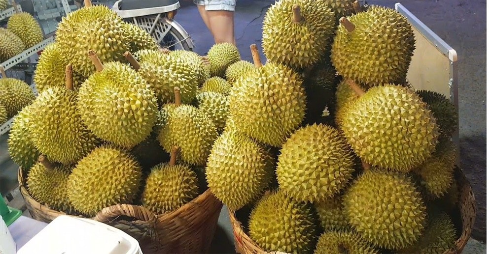 sau riêng