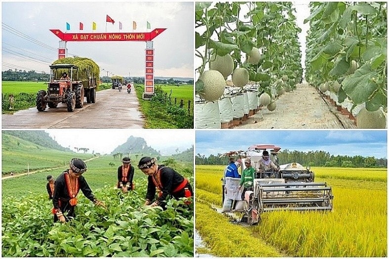 nông thông mới