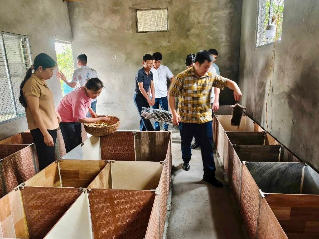 Cán bộ kỹ thuật của Trung tâm Khuyến nông tỉnh hướng dẫn chăm sóc giai đoạn đầu và các lưu ý trong quá trình chăn nuôi