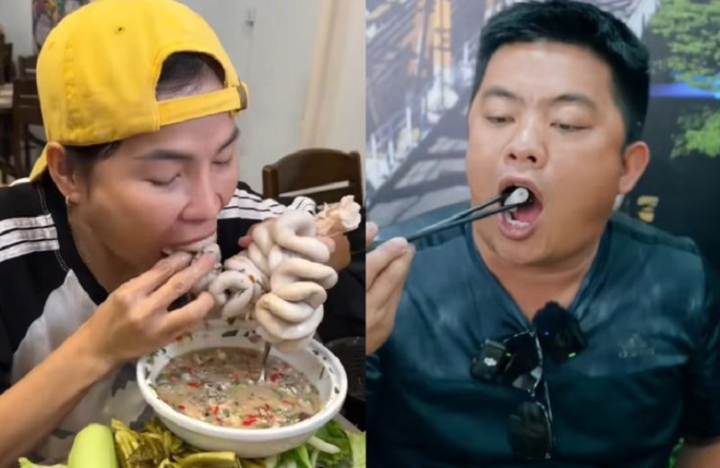 hải sapa và nga sumo