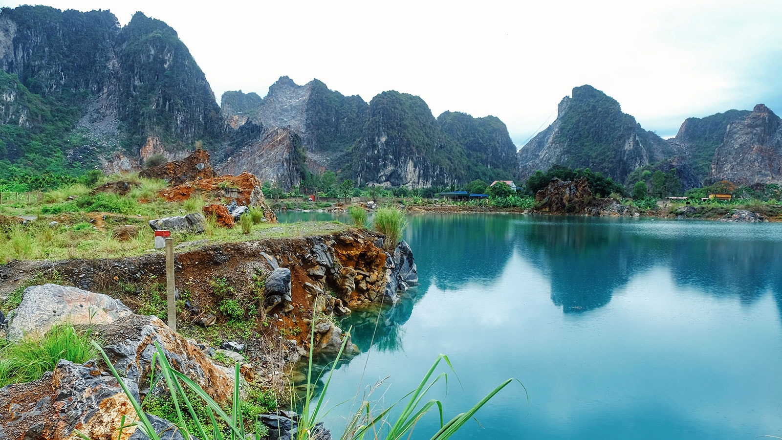 tuyet tinh coc