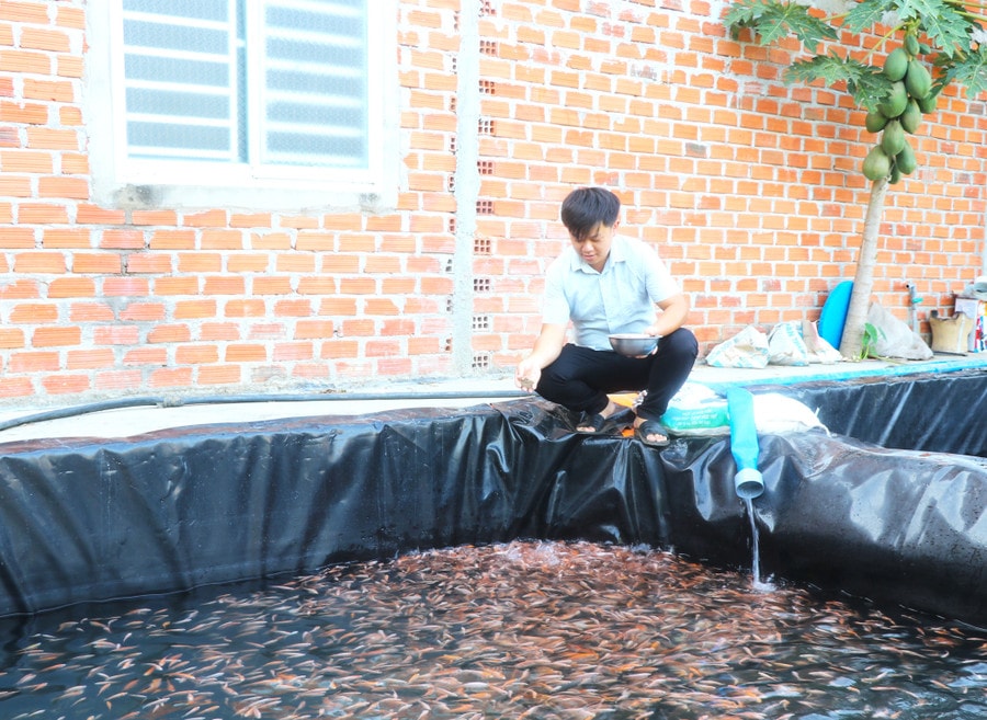 Anh Lê Đình Hưng triển khai thành công mô hình nuôi cá trong bể lót bạt