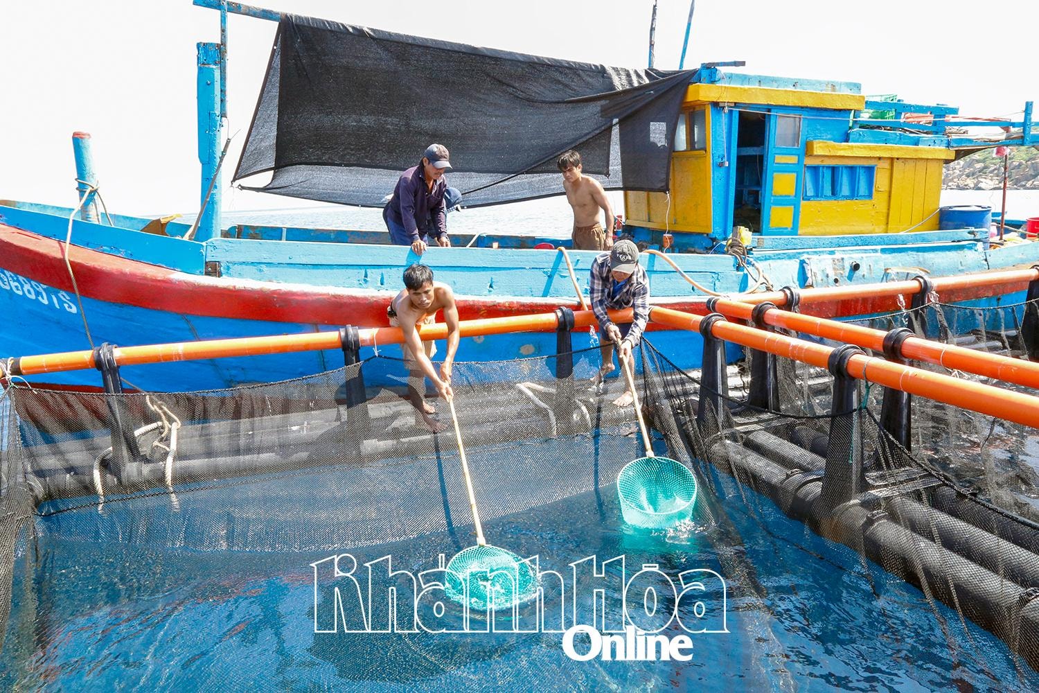 Gia đình ông Võ Lâm Đồng là hộ đầu tiên trong cả nước thả giống nuôi biển cách bờ đến 6 hải lý