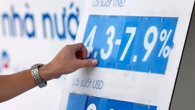 laisuat14.jpg