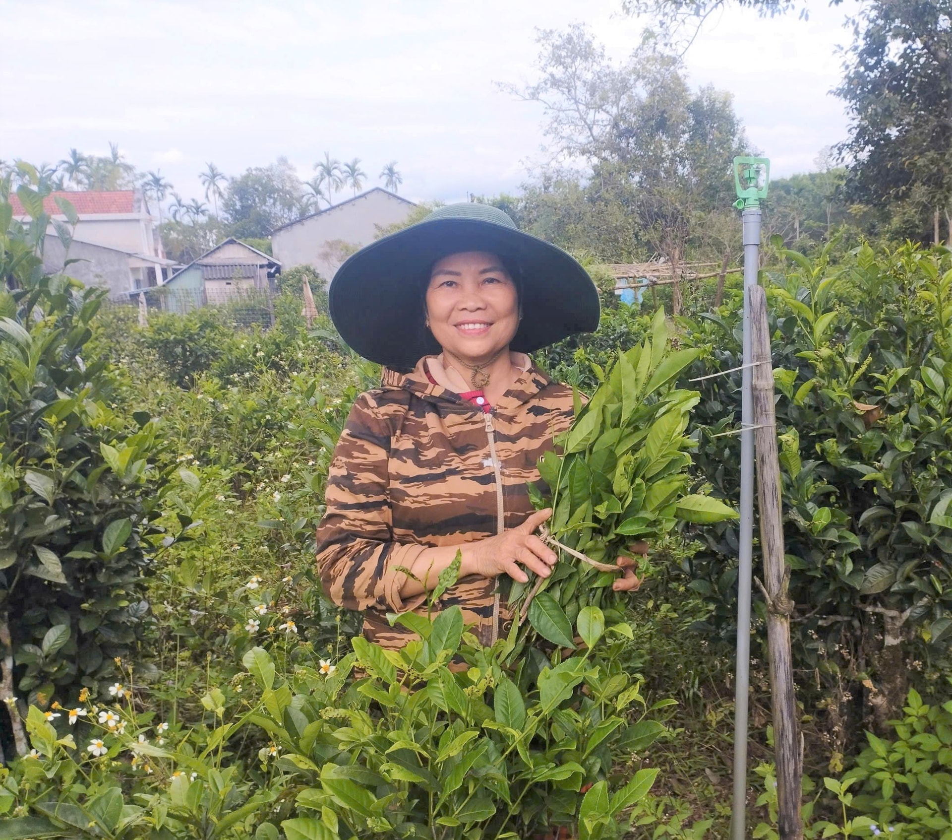 Một số hộ trồng chè đã được hỗ trợ kinh phí đóng giếng, đầu tư hệ thống tưới cho cây chè từ cơ chế 135 của HĐND tỉnh