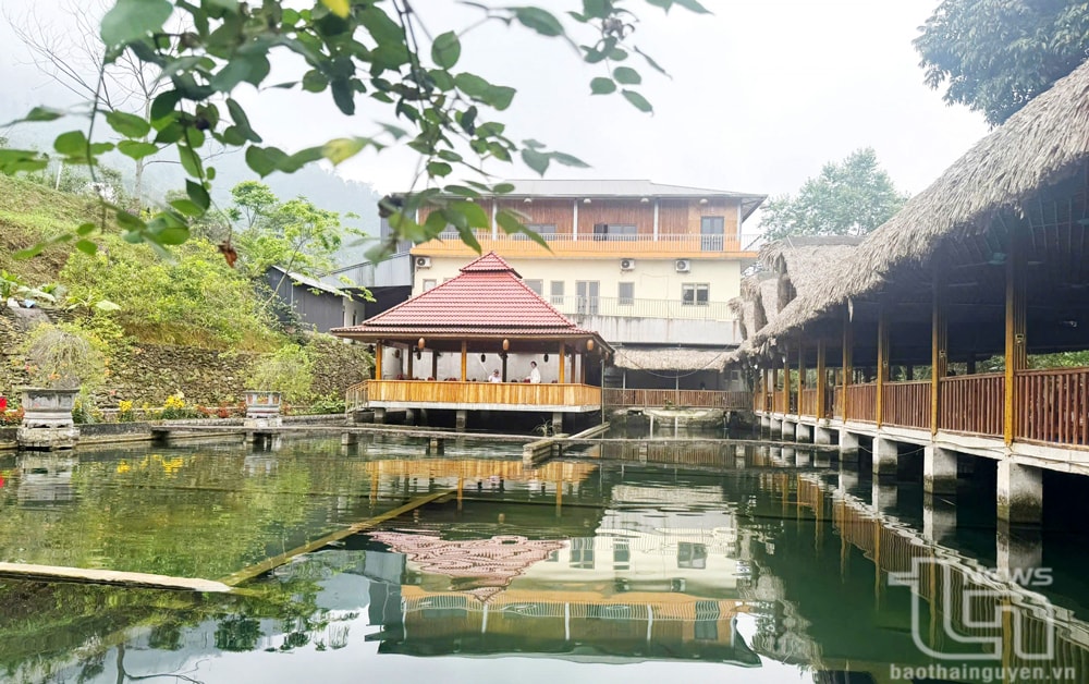Nhiều hộ dân ở xã La Bằng (Đại Từ) đầu tư nuôi cá tầm, xây dựng nhà hàng phục vụ du khách đến tham quan, thưởng thức ẩm thực