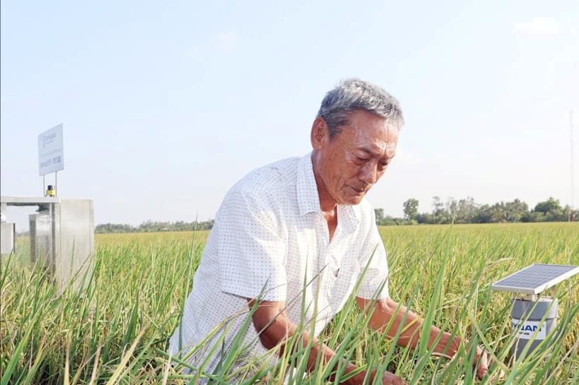 Bỏ cách làm cũ, nông dân Trà Vinh trồng thứ dân dã theo 