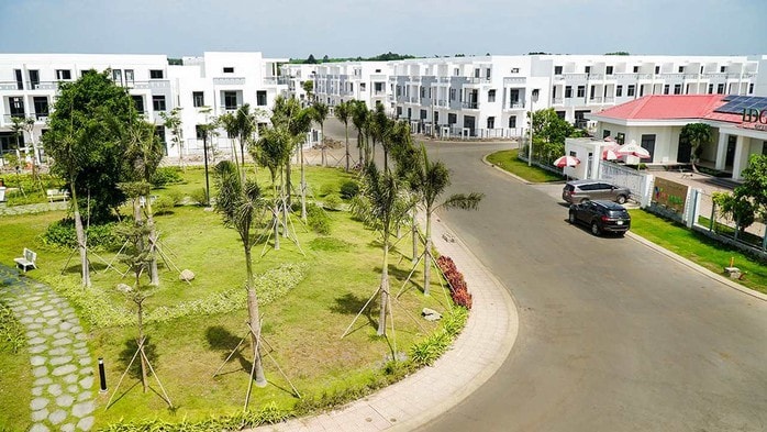 Dự án