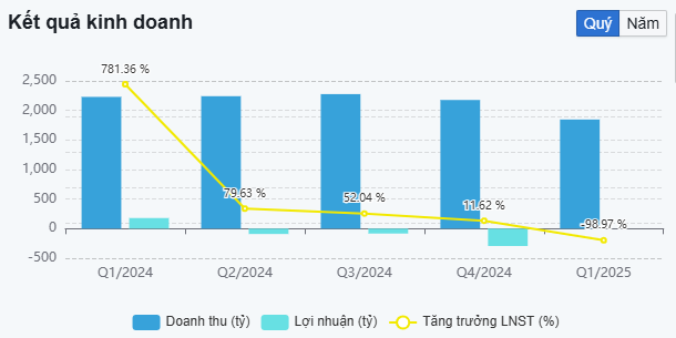 Kết quả kinh doanh SMC giai đoạn Q12024 - Q12025