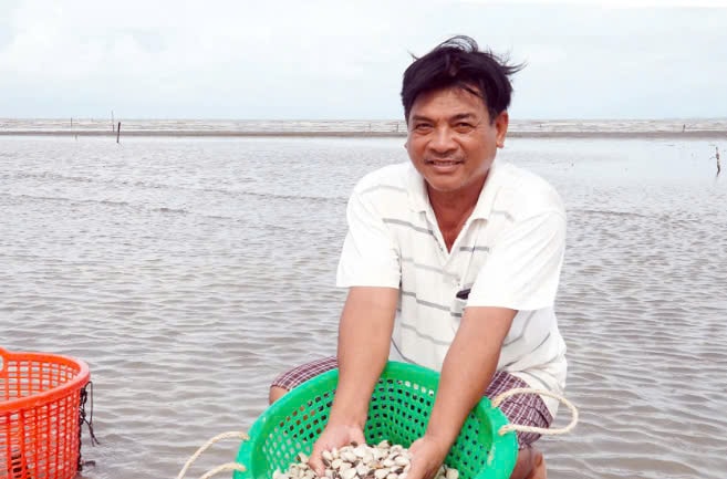 Ông Phan Văn Đắc - thành viên Hợp tác xã nuôi trồng thủy sản và dịch vụ du lịch ấp Hòa Phầu, xã Thuận Yên (TP. Hà Tiên) thu hoạch nghêu