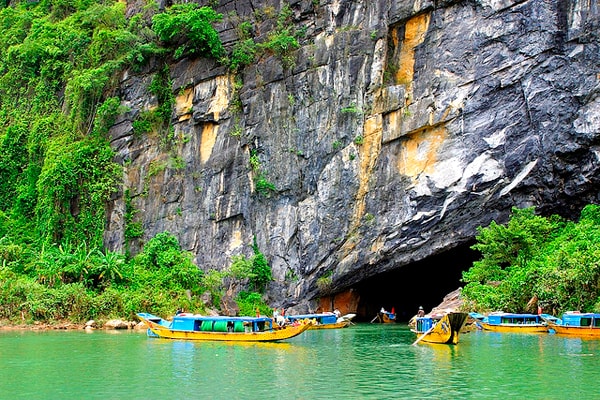 phong nha