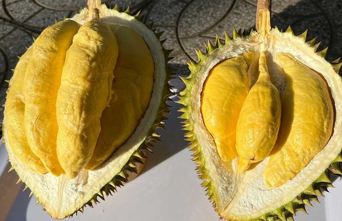 tangcan.jpg