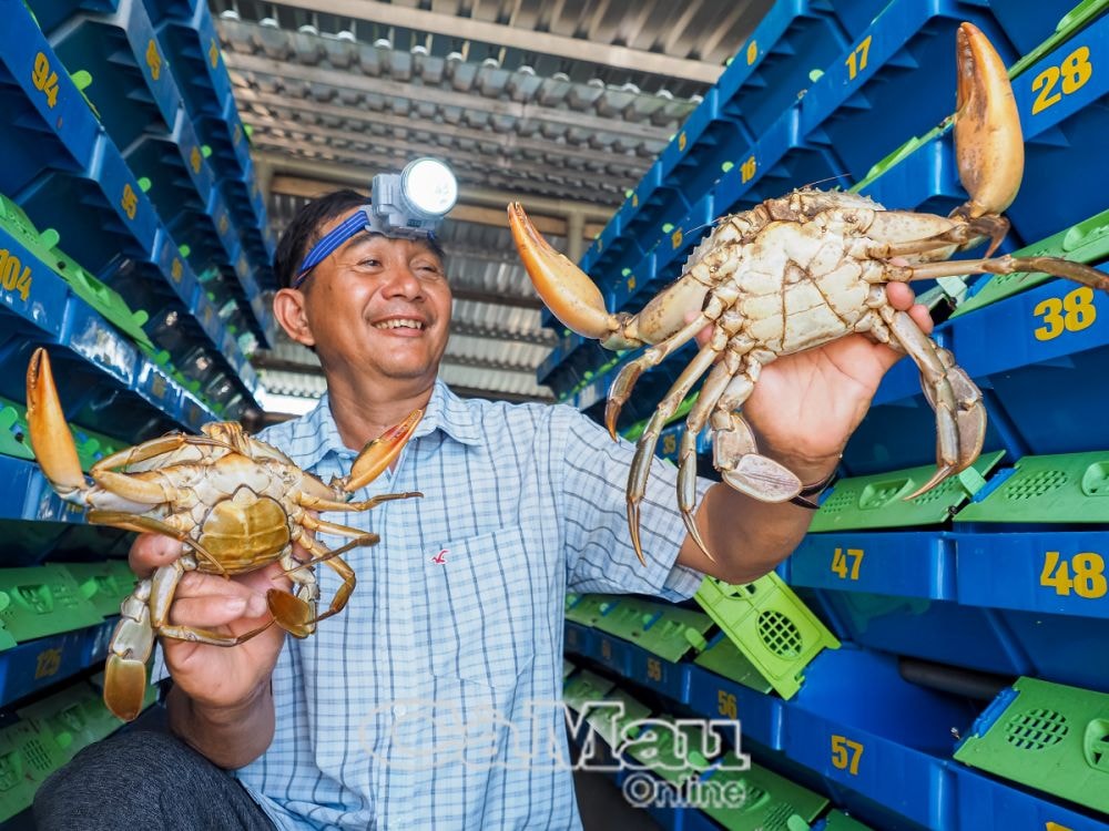 Niềm vui của tỷ phú nông dân Ðỗ Huy Mân