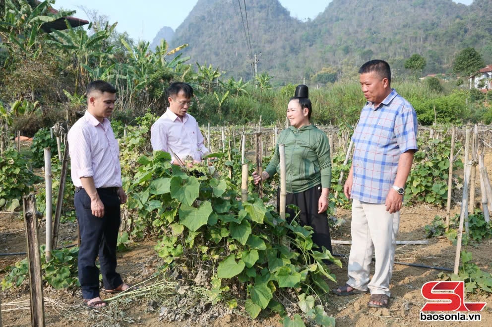 Cán bộ Phòng giao dịch Ngân hàng Chính sách xã hội huyện Quỳnh Nhai kiểm tra hiệu quả vốn vay của hội viên xã Chiềng Khay