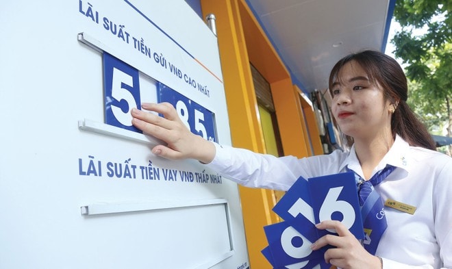laisuat23.jpg
