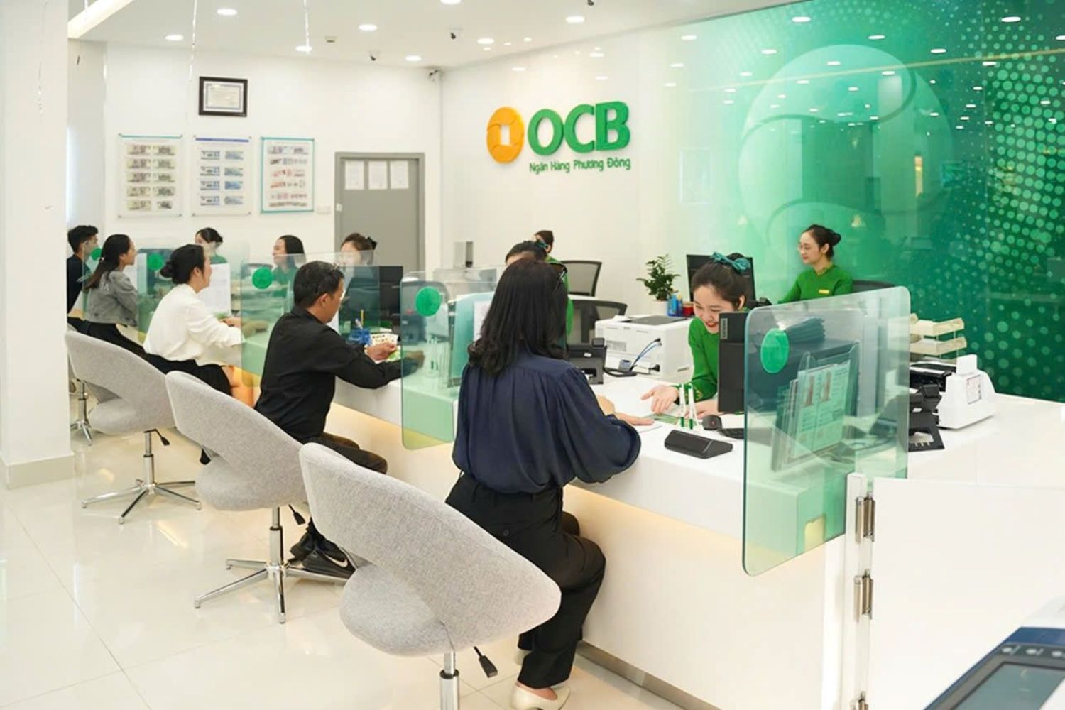 ocb.jpg