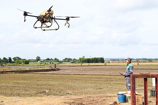 Anh Đoàn Nhất Phương điều khiển drone phun thuốc diệt ốc bưu vàng để nông dân chuẩn bị xuống giống vụ lúa Hè Thu 2025 tại cánh đồng thôn Sông Cầu, xã Nghĩa Thành, huyện Châu Đức