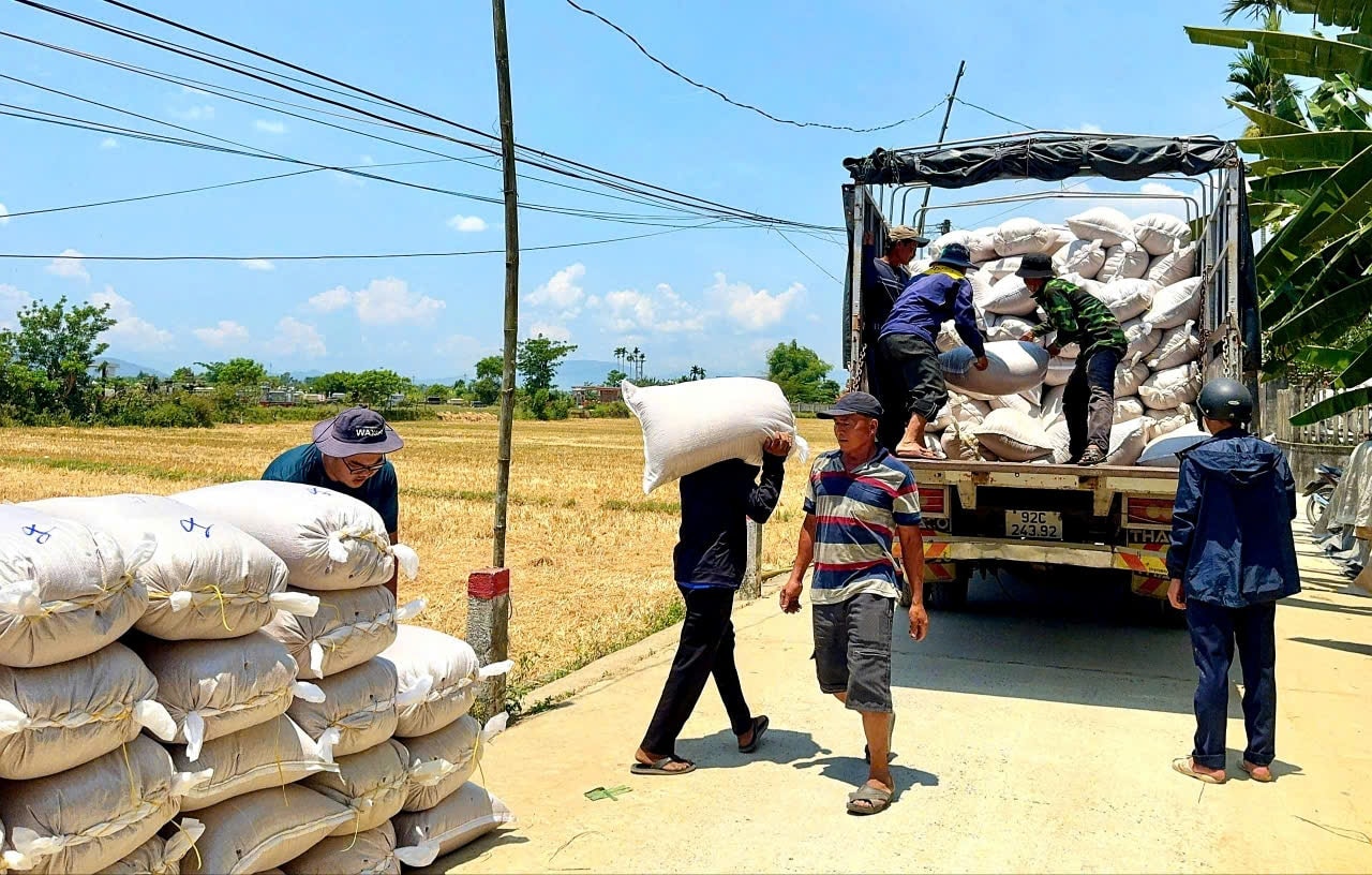 Công ty TNHH ThaiBinh Seed miền Trung & Tây Nguyên thu mua giống lúa của nông dân xã Đại Hòa