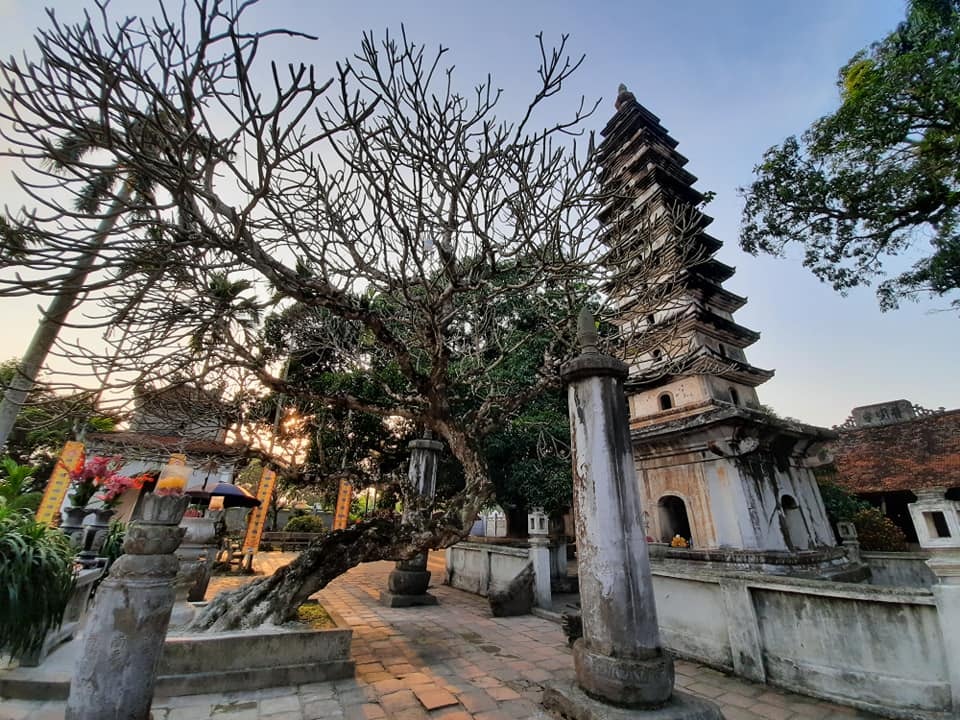 đền Trần chùa Phổ Minh