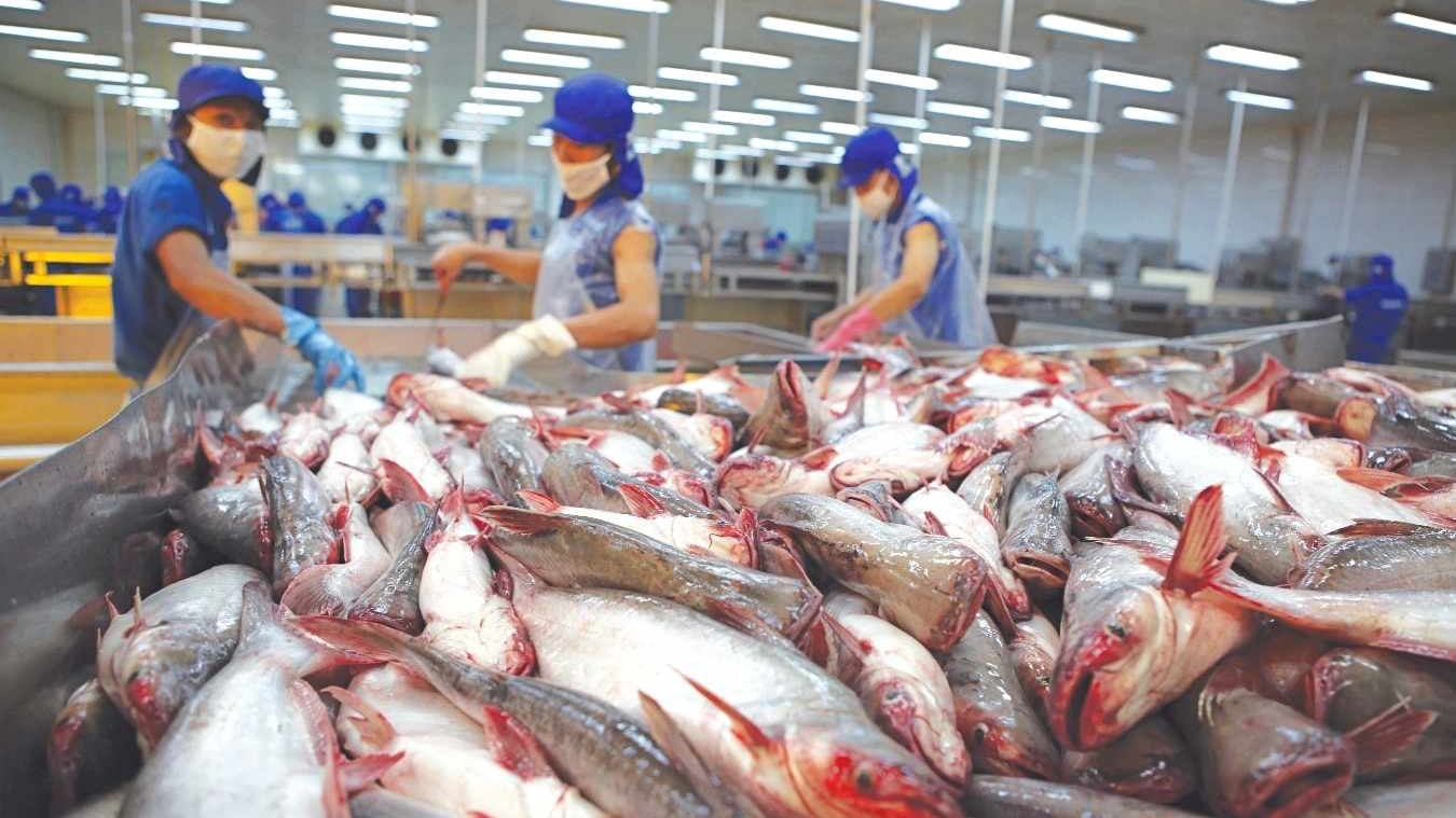 Đồng Tháp