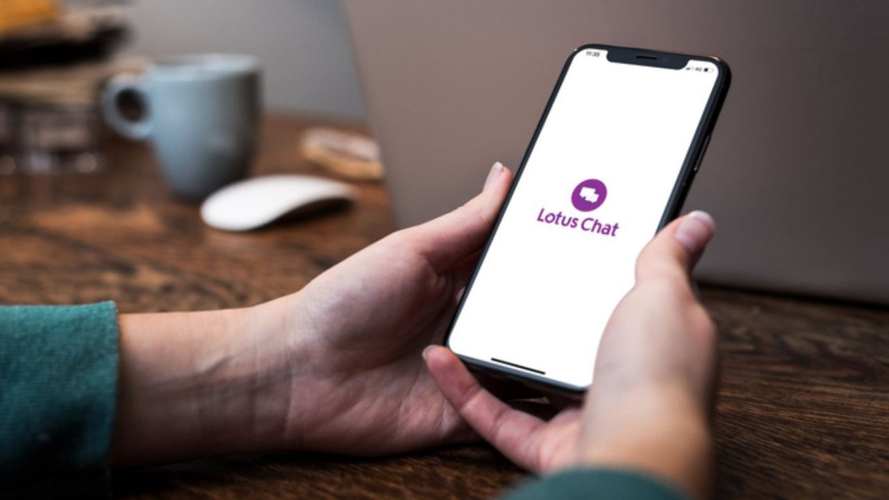 lotus chat tim kiem