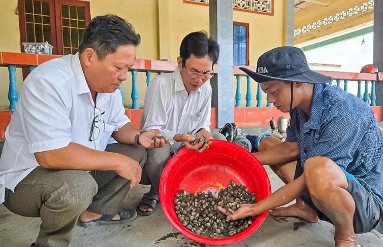 Ông Phan Út Mười (bìa phải) kiểm tra sò huyết nuôi của gia đình (Ảnh: Báo Cà Mau)