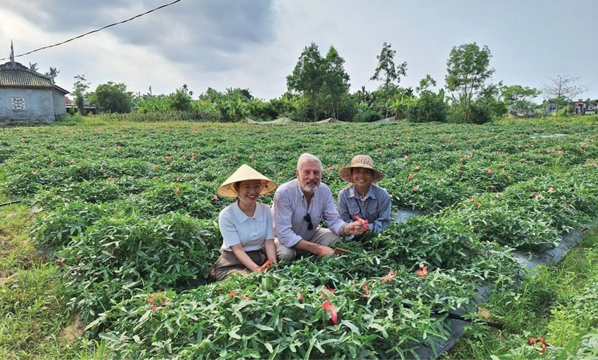Chị Hà (ngoài cùng, bên phải) giới thiệu mô hình trồng sâm Bố Chính của mình