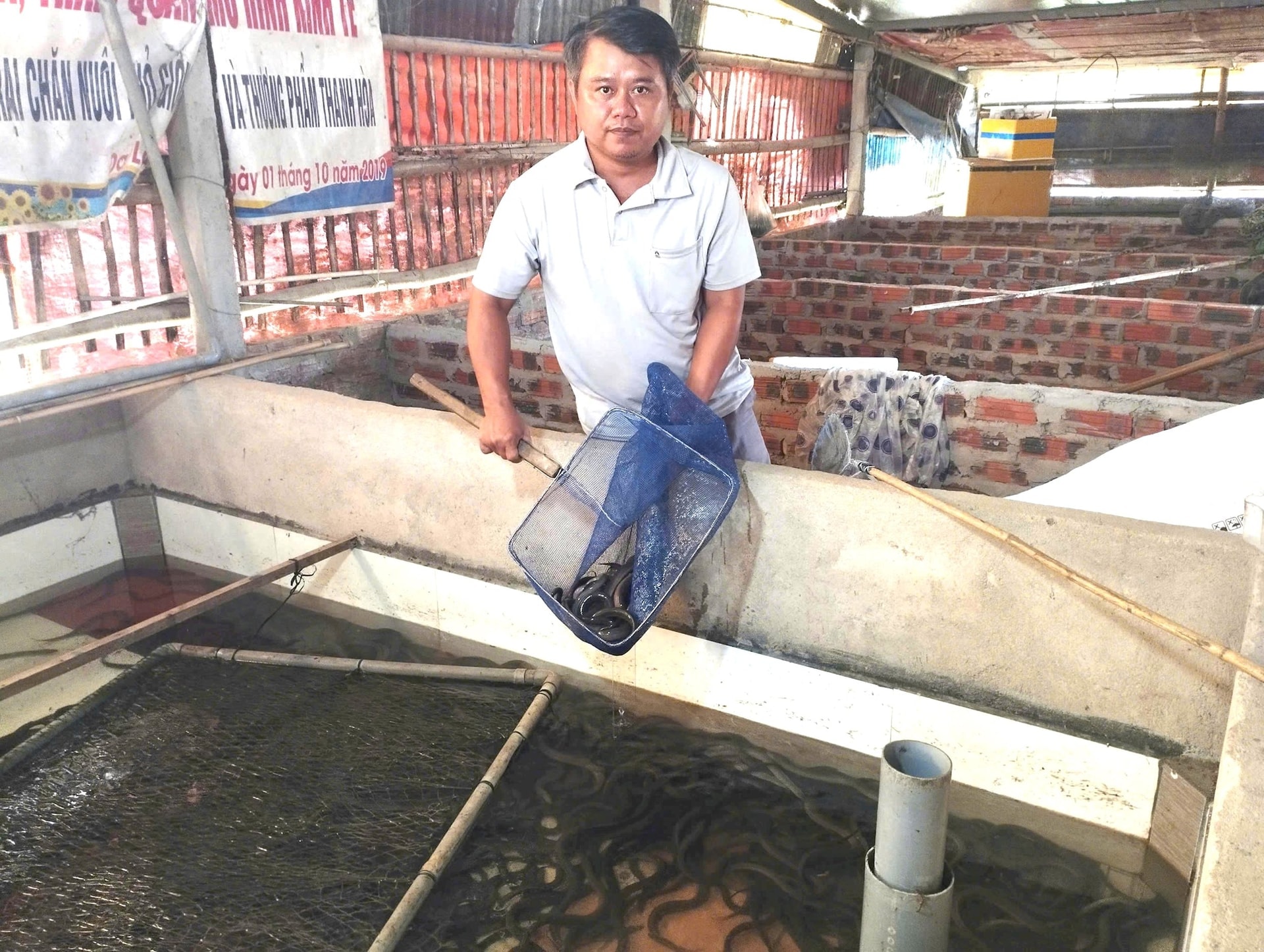 Mô hình nuôi lươn thương phẩm và sản xuất, cung ứng lươn giống mỗi năm giúp anh Hòa thu về hàng trăm triệu đồng