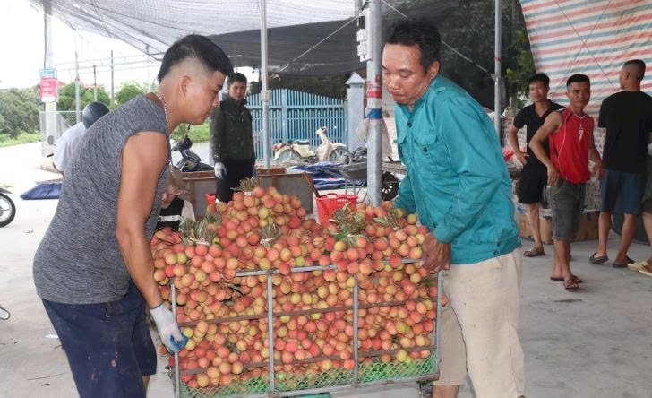 Các điểm cân vải tấp nập