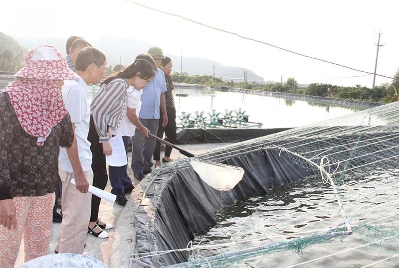 Mô hình nuôi tôm trong nhà bạt di động của anh Nguyễn Đình Giáp ở thôn Sơn Trang, xã Hoằng Yến (Hoằng Hóa) thành công nhờ kinh nghiệm đúc rút (1)