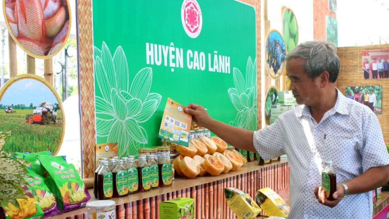 cao lãnh nông thôn mới