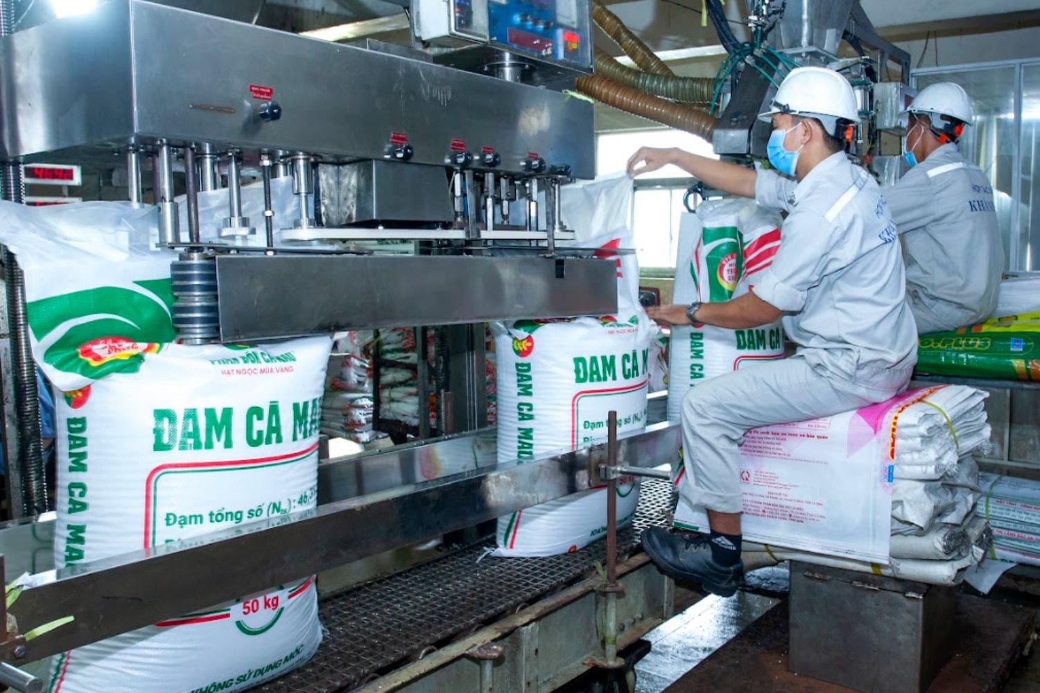 Đạm Cà Mau (1)